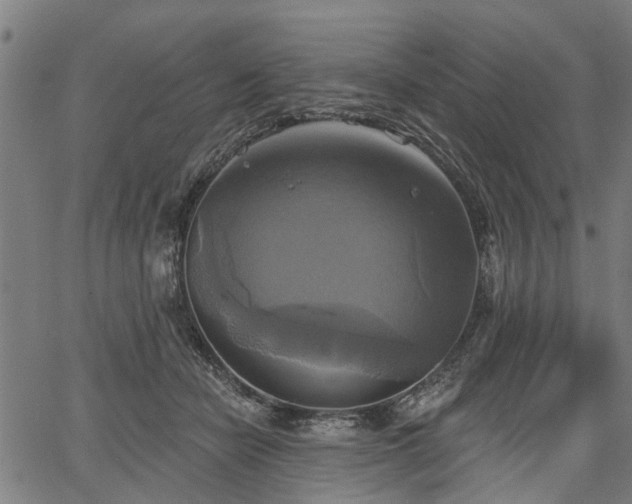 X0000067350462200604030938