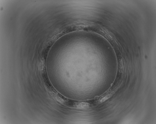 X0000067350463200604030938