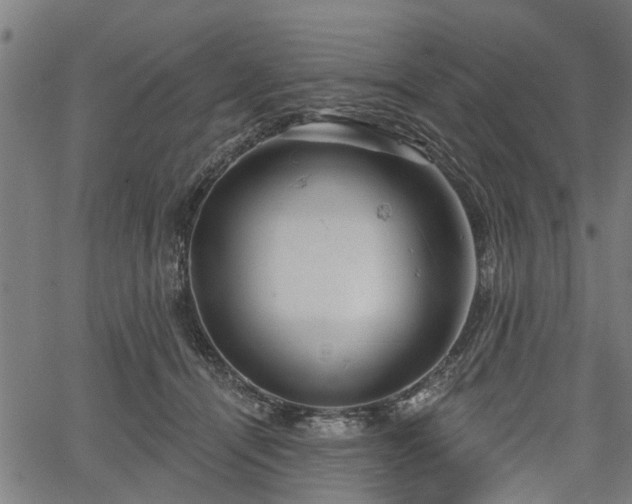 X0000067350464200604030938