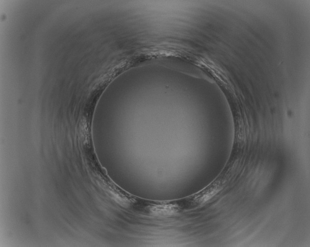 X0000067350465200604030938