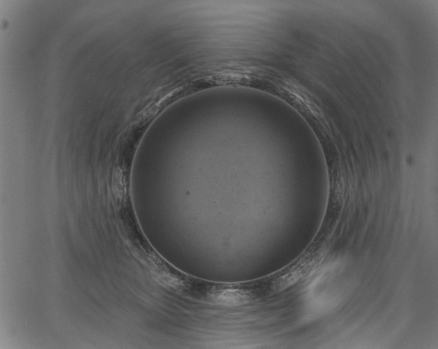 X0000067350467200604030938