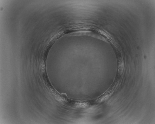 X0000067350469200604030938