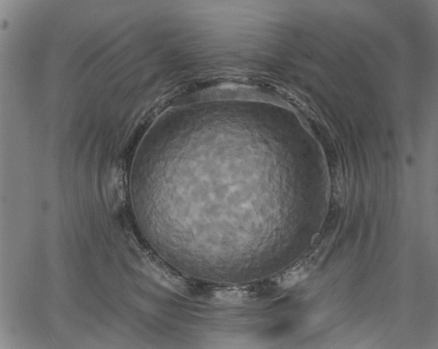 X0000067350470200604030938