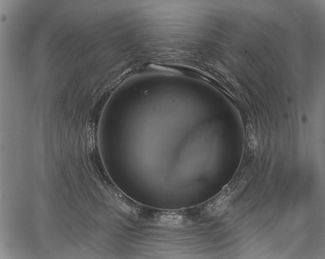 X0000067350471200604030938