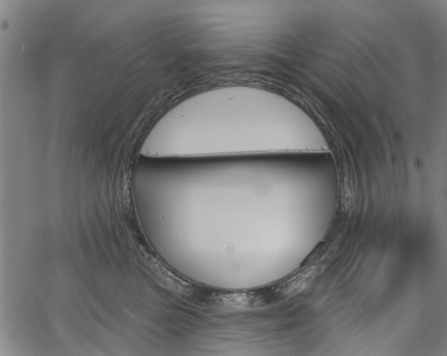 X0000067350473200604030938