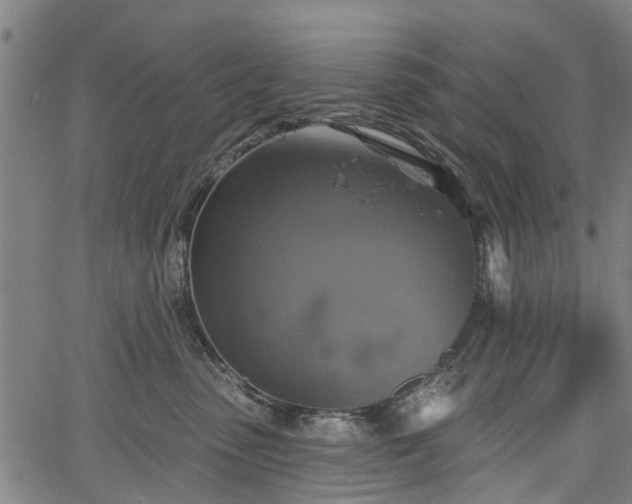 X0000067350475200604030938