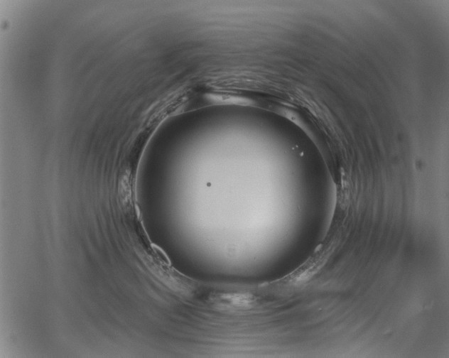 X0000067350478200604030938