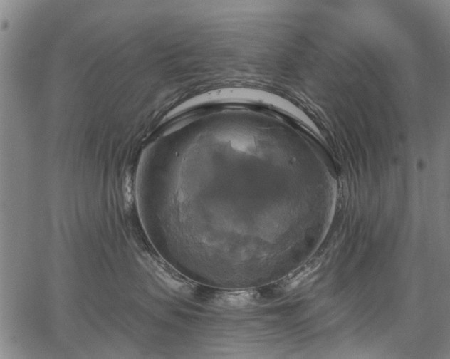 X0000067350479200604030938