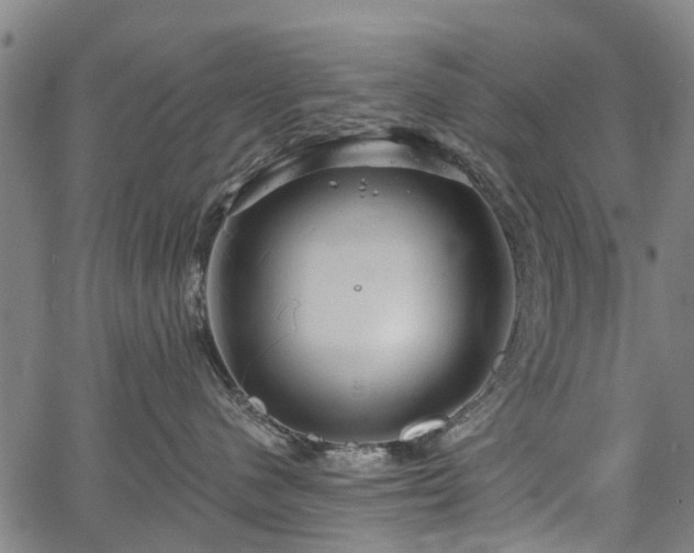 X0000067350480200604030938