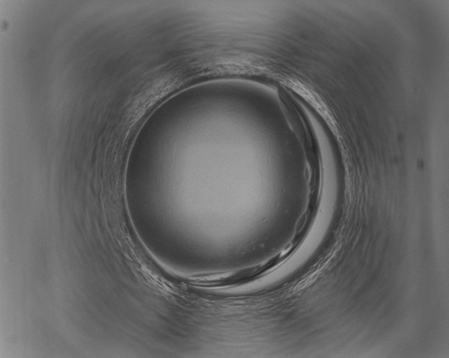 X0000067350481200604030938