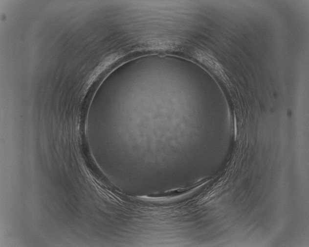 X0000067350483200604030938