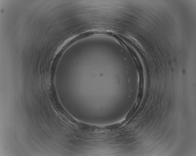 X0000067350484200604030938