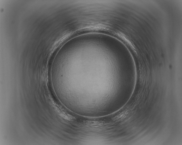 X0000067350486200604030938