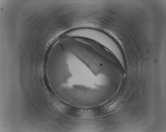 X0000067350487200604030938