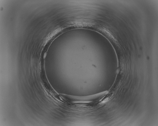 X0000067350488200604030938