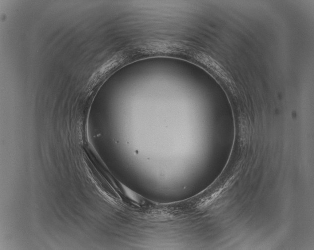 X0000067350489200604030938