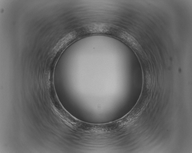 X0000067350490200604030938