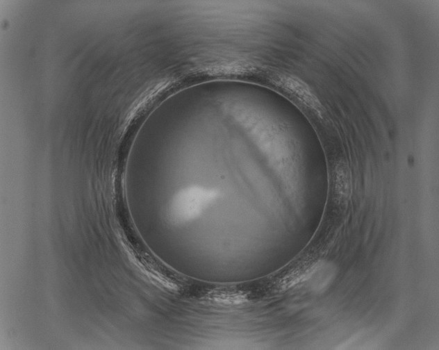 X0000067350491200604030938