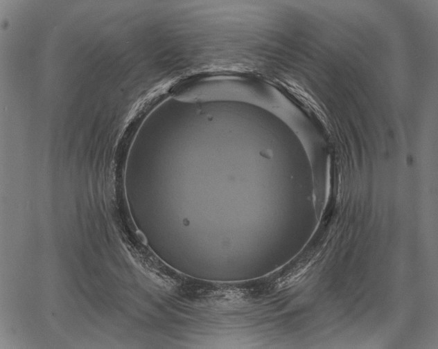 X0000067350492200604030937