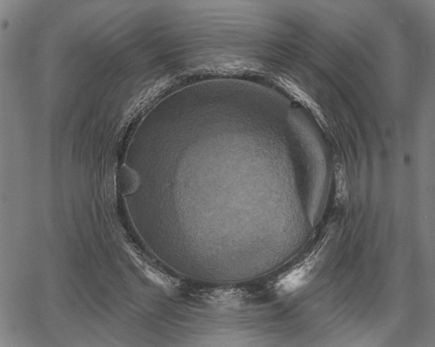 X0000067350493200604030937