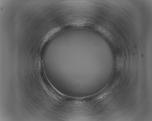 X0000067350494200604030937