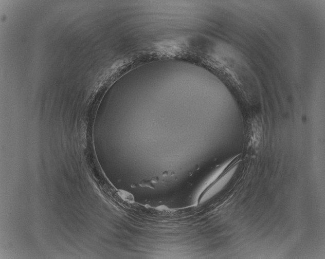 X0000067350496200604030937