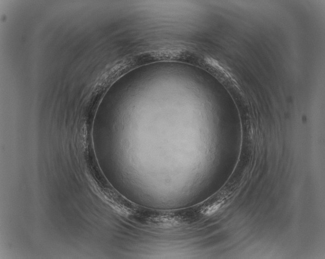 X0000067350498200604030937