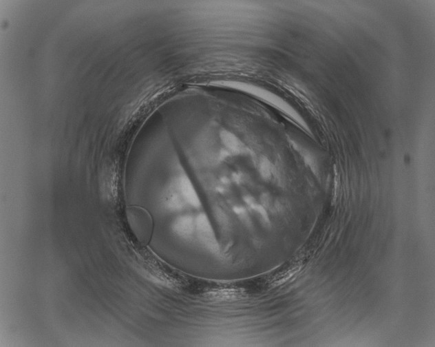 X0000067350499200604030937