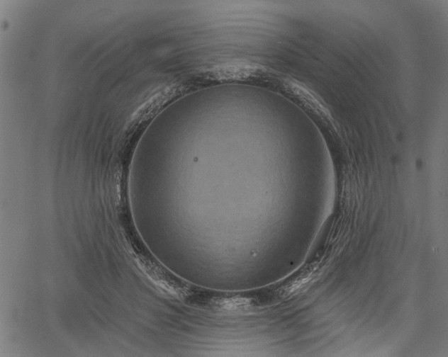 X0000067350501200604030937