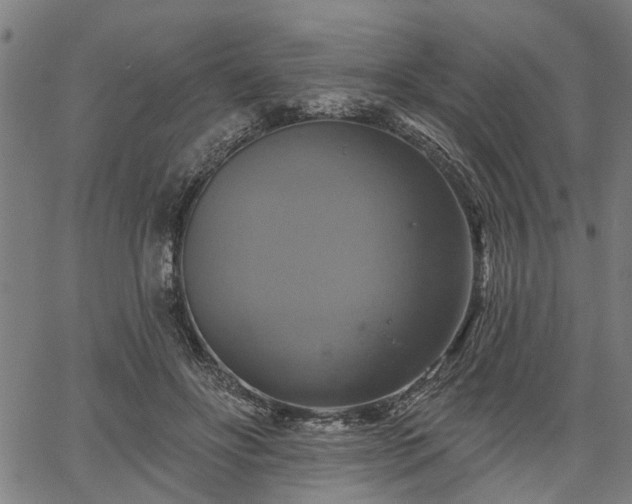 X0000067350502200604030937