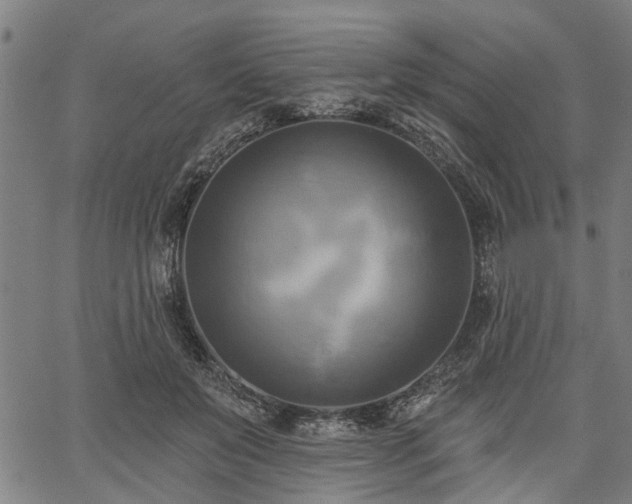 X0000067350503200604030937