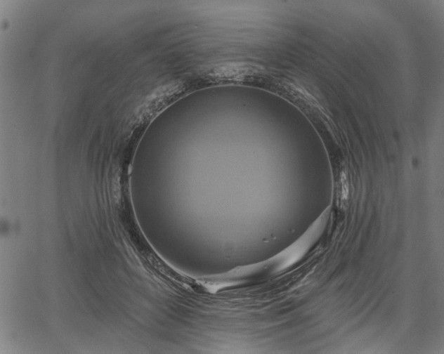 X0000067350504200604030937