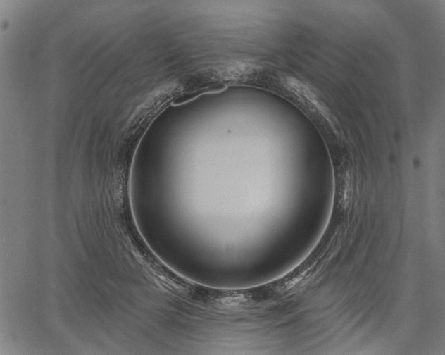 X0000067350505200604030937