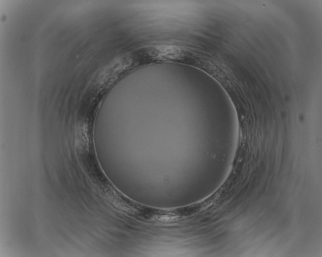 X0000067350506200604030937