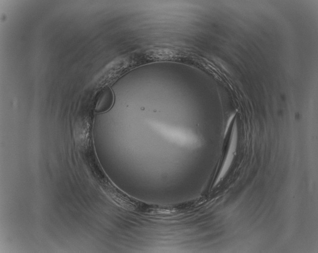 X0000067350507200604030937