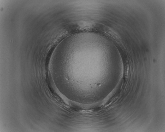 X0000067350508200604030937