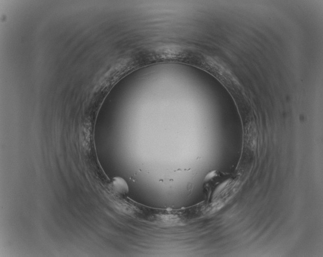 X0000067350509200604030937