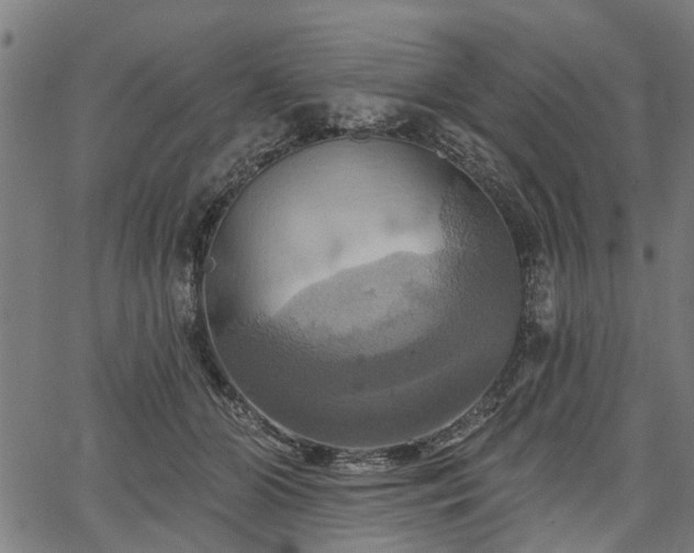 X0000067350510200604030937