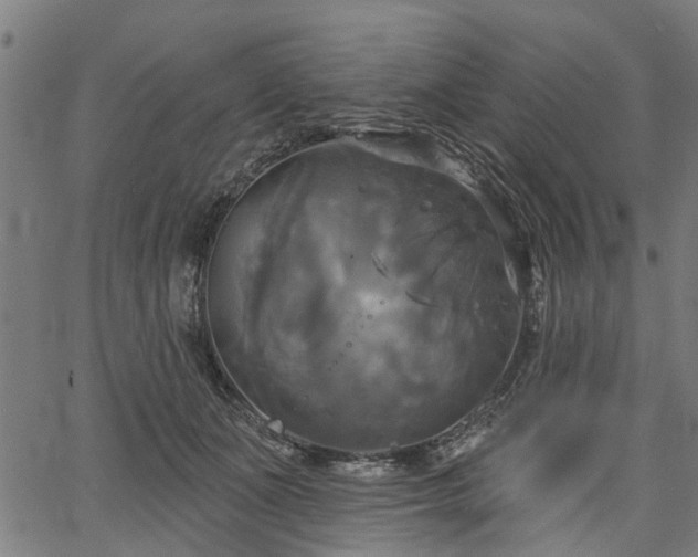 X0000067350511200604030937