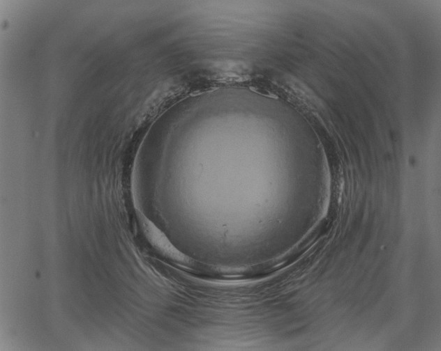 X0000067350512200604030937