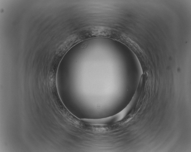 X0000067350513200604030937