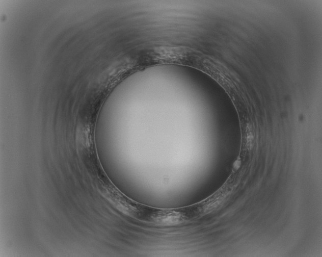 X0000067350514200604030937