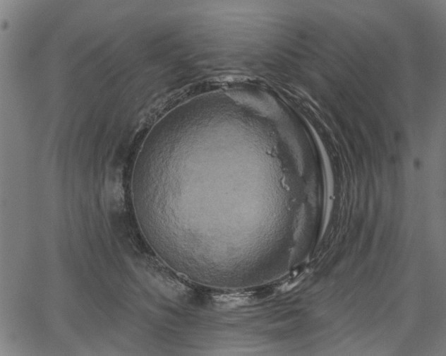 X0000067350516200604030937