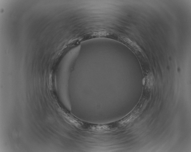 X0000067350517200604030937