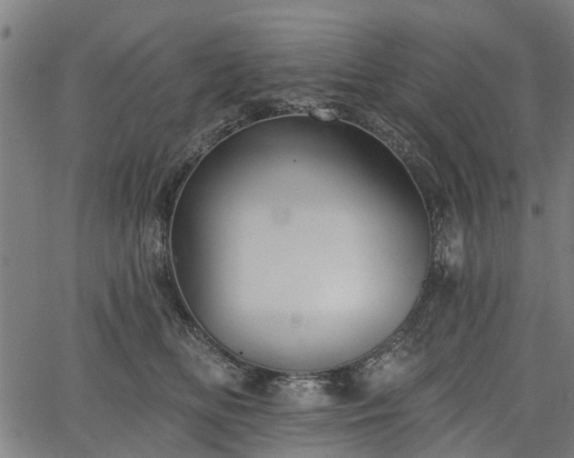 X0000067350518200604030937