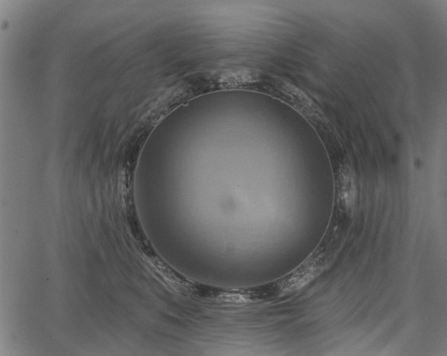 X0000067350519200604030937