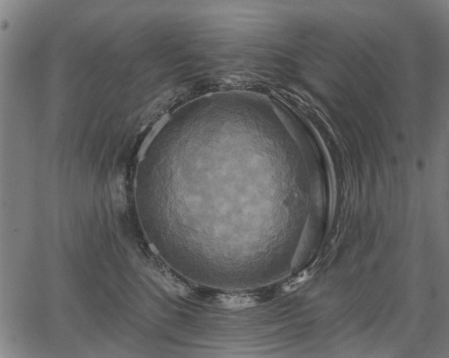 X0000067350520200604030937