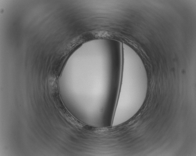 X0000067350521200604030937