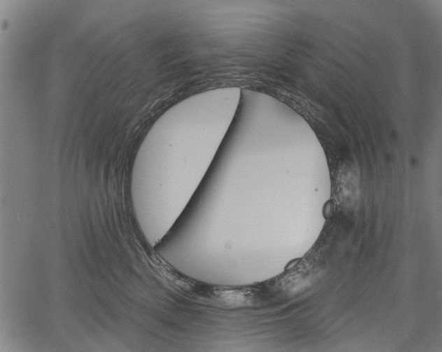 X0000067350522200604030937