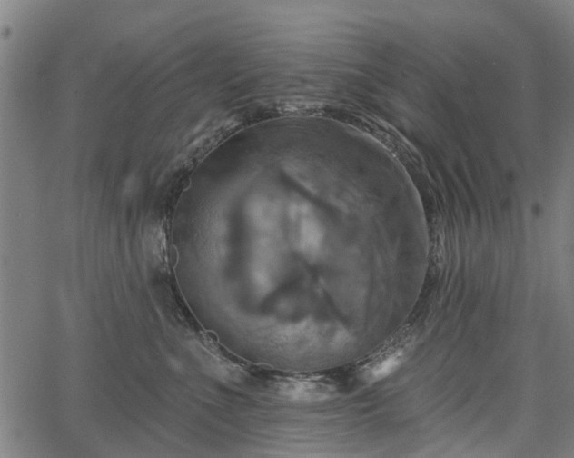 X0000067350523200604030937